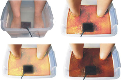 Ionic Detox Foot Spa Treatments